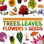 DK Our World in Pictures: Gardening for Kids-0