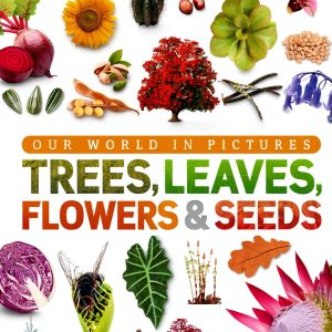 DK Our World in Pictures: Gardening for Kids-0