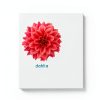 My First Board Books: A Colorful Flower for Baby-1