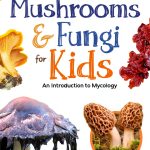 Adventure Publications Simple Introductions to Science Kids Kindle-0