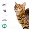 Lysine Cat Treats with Natural Vitamins & Trace Minerals - Daily Immune Support for Cats & Kittens That Eases Sneezing, Runny Nose, Watery Eyes - Promotes Respiratory Health, Normal Eye Function 135-1