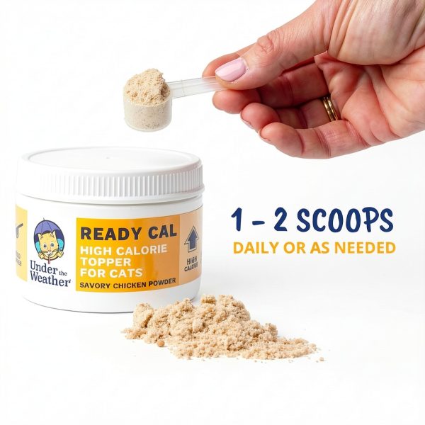 Under the Weather Ready Cal Powder for Cats | High-Calorie, Weight Gainer, Appetite Stimulant, Energy Booster Pet Supplement | 8 Ounces-4