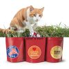 Vitamin B for Cats Olympus Cat Vitamin B Complex Liquid 1 fl oz-5