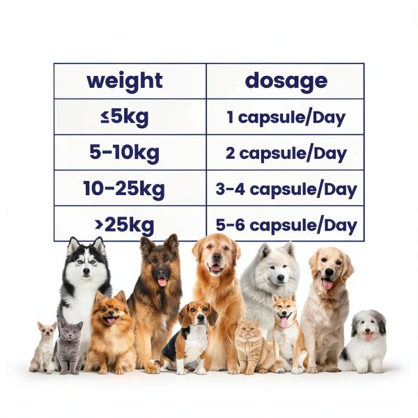 CoQ10 for Dogs LickWell Heart Support with Taurine - 120 Caps-6