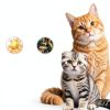 15 in 1 Cat Multivitamin Treats by FANGCUN with Omega 3 & Prebiotics-3