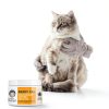 Under the Weather Ready Cal Powder for Cats | High-Calorie, Weight Gainer, Appetite Stimulant, Energy Booster Pet Supplement | 8 Ounces-2