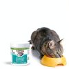Only Natural Pet Senior Cat Multivitamin Powder Immune Joint Support-2