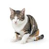 CoQ10 for Dogs LickWell Heart Support with Taurine - 120 Caps-5