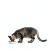Under the Weather Ready Cal Powder for Cats | High-Calorie, Weight Gainer, Appetite Stimulant, Energy Booster Pet Supplement | 8 Ounces-6