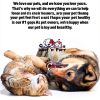Vitamin B for Cats Olympus Cat Vitamin B Complex Liquid 1 fl oz-6