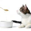 Pet Kelp Superfood Powder for Cats - 6oz Limited Ingredient Supplement-1
