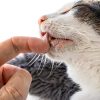 Petralyte Cat Hydration Electrolyte Joint Supplement – 16 Pack Chicken-5