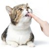 PetAg Vitamin and Mineral Gel Supplement for Cats 3.5oz Easy Digest-3