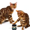 Lysine Cat Treats with Natural Vitamins & Trace Minerals - Daily Immune Support for Cats & Kittens That Eases Sneezing, Runny Nose, Watery Eyes - Promotes Respiratory Health, Normal Eye Function 135-4