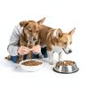 CoQ10 for Dogs LickWell Heart Support with Taurine - 120 Caps-2