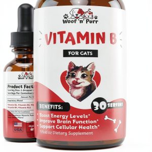 Vitamin B for Cats Olympus Cat Vitamin B Complex Liquid 1 fl oz-0