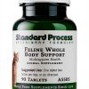 Feline Whole Body Support Standard Process Cat Multivitamin 90 Tablets-0