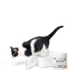 Indoor Cat Multivitamin - Finicky Feline Omega 3 Lysine-6
