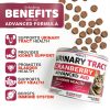 Cat UTI Treatment Cranberry Supplement by YUMAS 120 Chew Multivitamin-1
