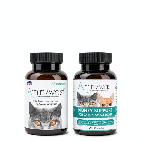 Kidney Support AminAvast for Cats & Small Dogs 300mg 60 Capsules-1