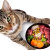 Rx Vitamins Feline Minerals – Taurine, Calcium, Immune Support 8oz-2