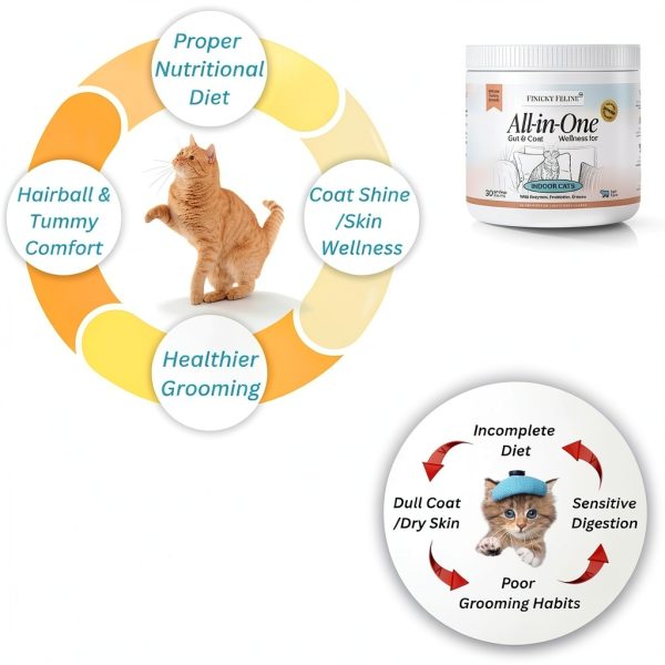 Indoor Cat Multivitamin - Finicky Feline Omega 3 Lysine-4