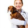 Kidney Support AminAvast for Cats & Small Dogs 300mg 60 Capsules-6