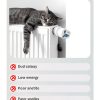 Cat Multivitamin Cudory Cheese Chew with Taurine B Complex 500 Chews-4