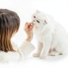 15 in 1 Multivitamin for Cats FANSHI Chicken Flavor Chews 3.7 oz-4