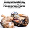 Cat Multivitamin by Woof n Purr – Skin & Coat, Joint Support 1oz-7