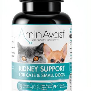 Kidney Support AminAvast for Cats & Small Dogs 300mg 60 Capsules-0