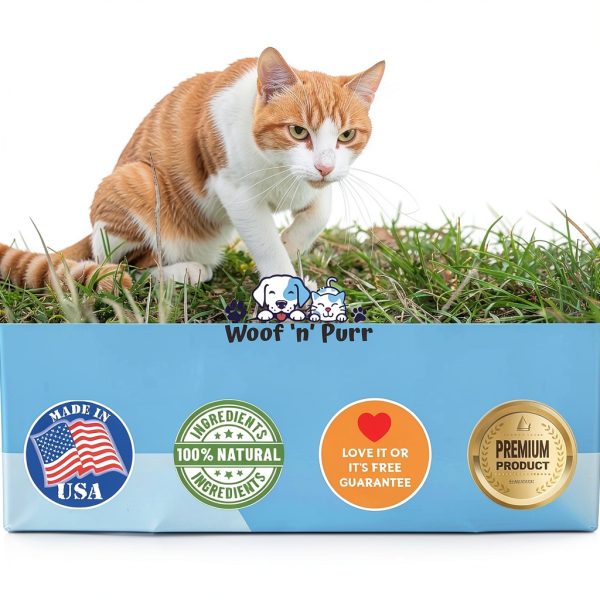 Cat Multivitamin by Woof n Purr – Skin & Coat, Joint Support 1oz-6